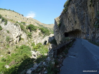 stoleone-09-08-2020 10